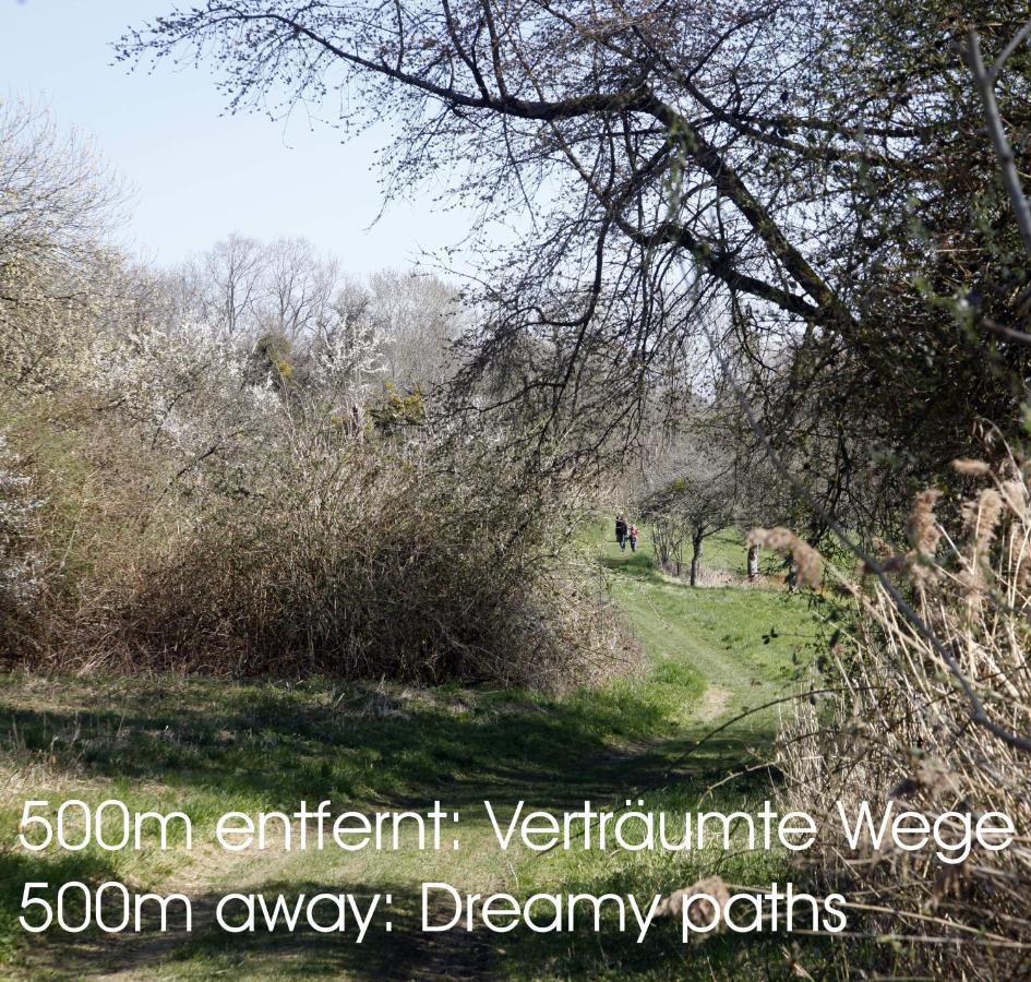 Passivhaus 750M Vom Bodensee -- 2X E-Bike Inklusive -- Neubau 2019 Am Ortsrand Ohningen Ngoại thất bức ảnh